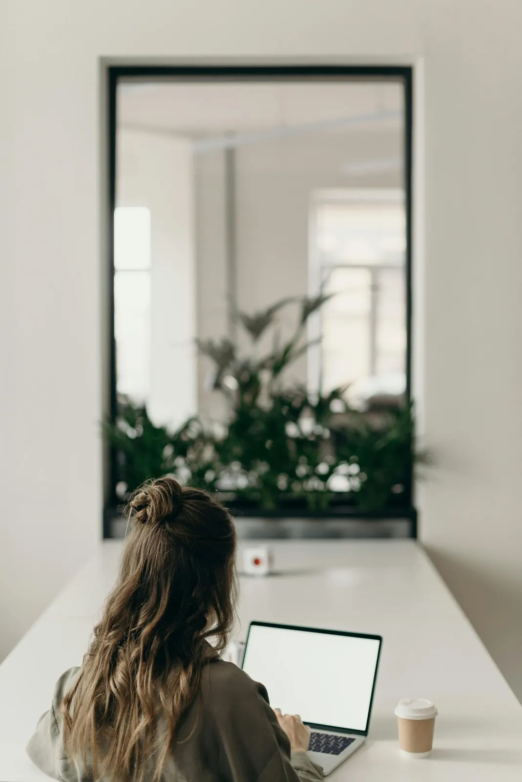 logiciel newsletter